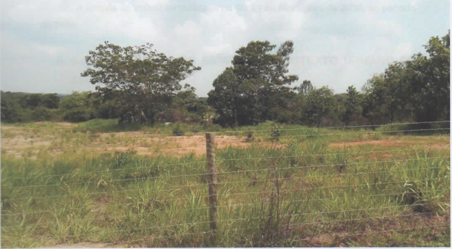 Araguaina Foto 07.png